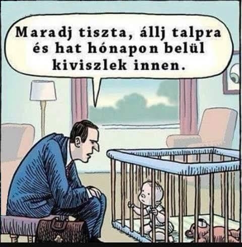 Amikor apád ügyvéd...