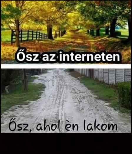 Napi tényfeltáró