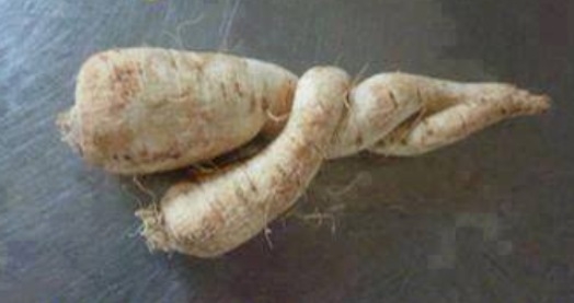 Bizsergető érzés látni, amikor...