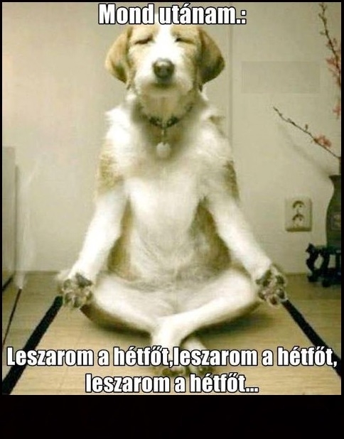 Indítsd jól a hetet