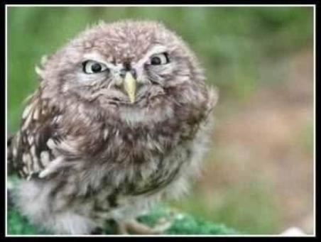 Ilyen arcot vág a barátnőd, amikor közlöd vele, 