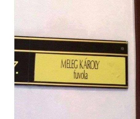 Zeneoktatás