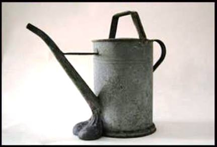 Napi definíció - Szerelemkanna