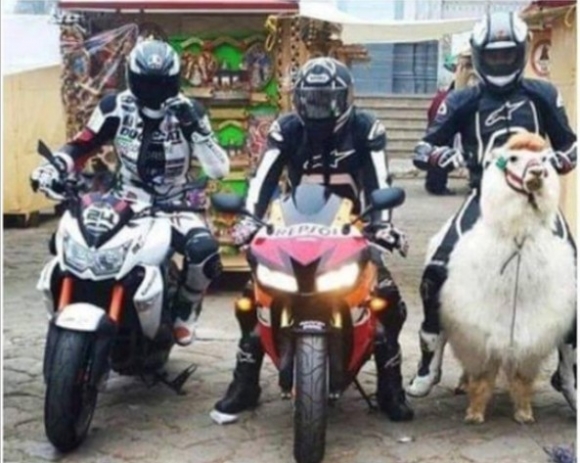 Egy Kawa, egy Honda...