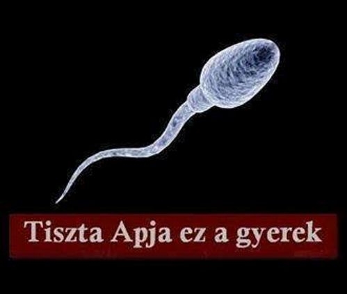 Vannak így egy páran