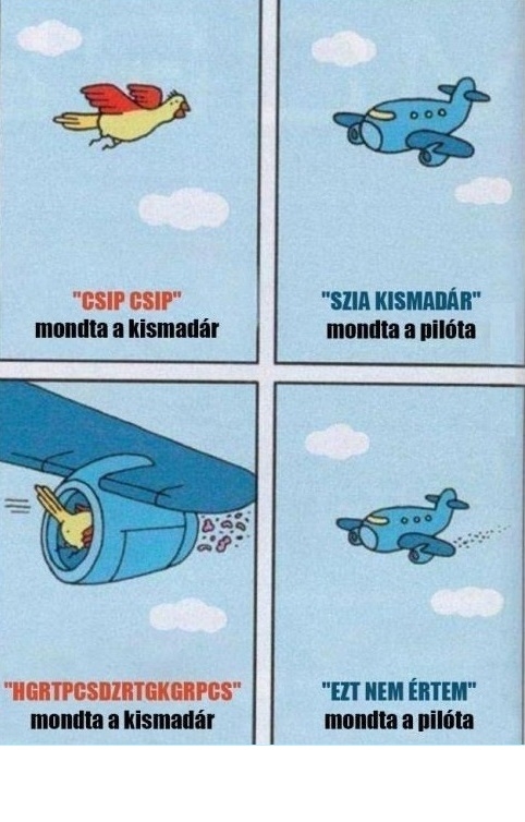 Egy rövid mese