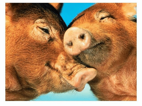 Amikor mindketten felszedtetek jó pár kilót, de...