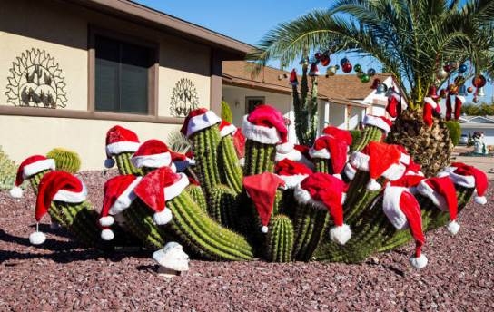 Beküldött - köszönjük Laci43