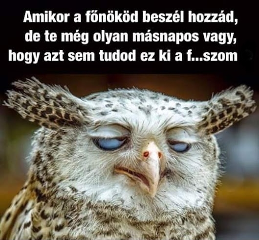 Előfordul néha az ilyen, a legjobb családban is 🙂