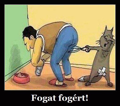 Eljött a bosszú ideje