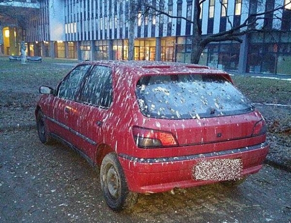 Neki szarul indult a reggel - szó szerint