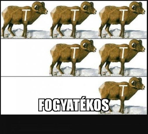 Hét eleji zsibbasztó