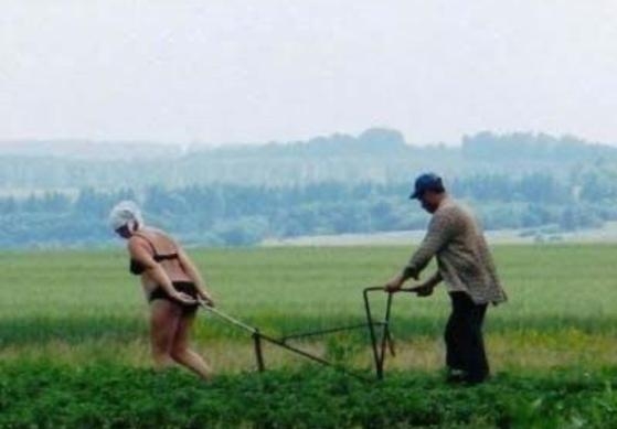 Kertészkedtünk kicsit az asszonnyal...