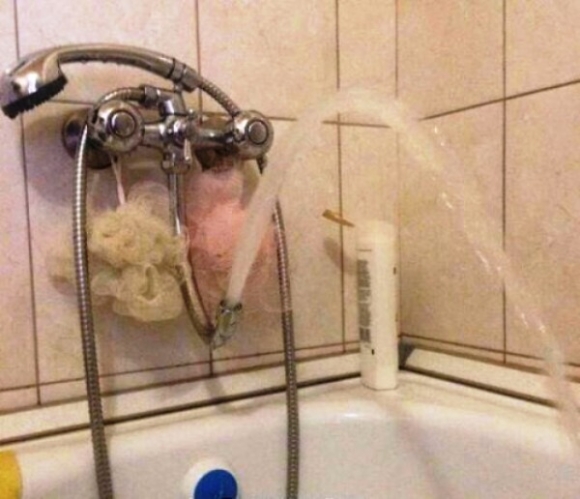 Egy másként gondolkodó