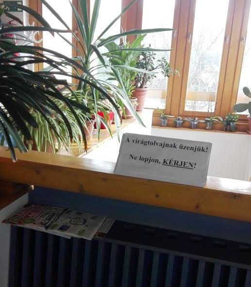 Üzenet