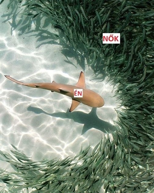 Többeknek ismerős lehet...