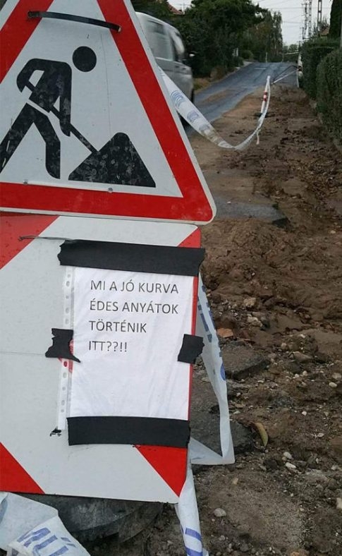 Egy szolíd érdeklődő