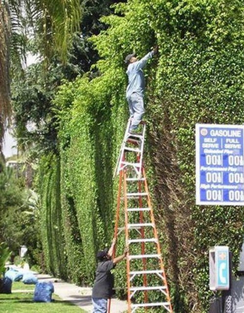 Ezért élnek tovább a nők