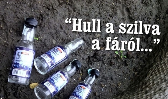 Hull a szilva a fáról...