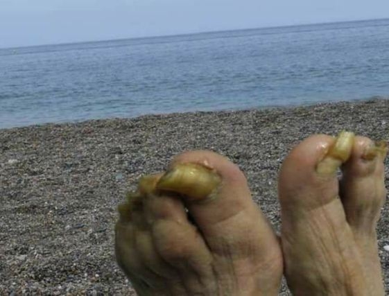 Üdvözlet a tengerpartról