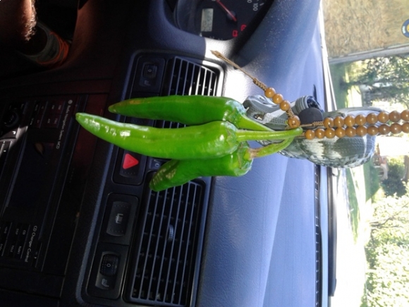 Erdélyi légfrissítő