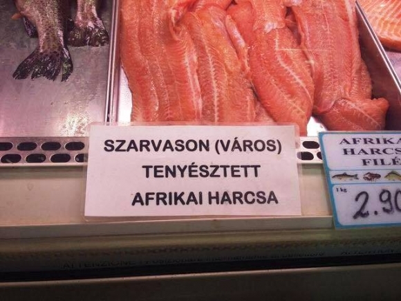 A félreértések elkerülése végett