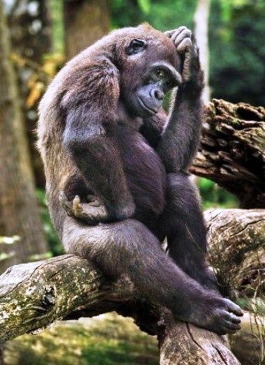 Azon agyalok, hogyan lehetne megoldani,