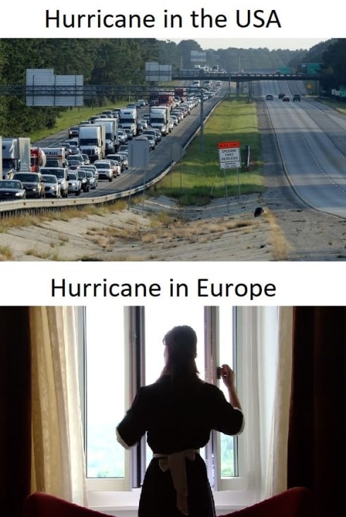 Napi tényfeltáró