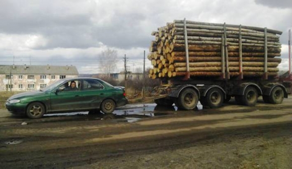 Szergejék megtudták, hogy influenzás az erdész