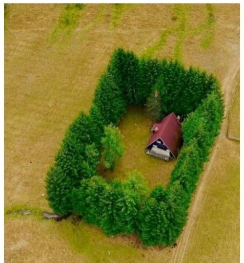 Magányra vágyott