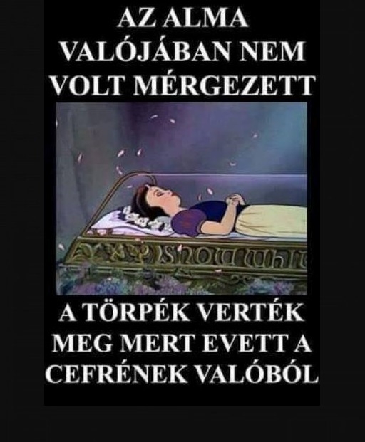 Kiderült az igazság