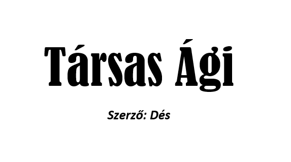 Közjogi fogalom
