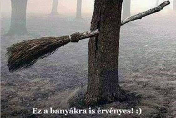 Ha iszol, ne vezess!