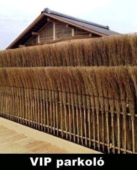 Nemzetközi anyóstalálkozó