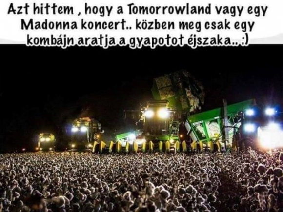 Elsőre tényleg megtévesztő