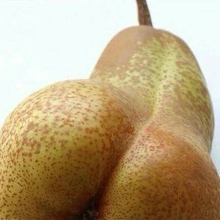 PopóSzerda