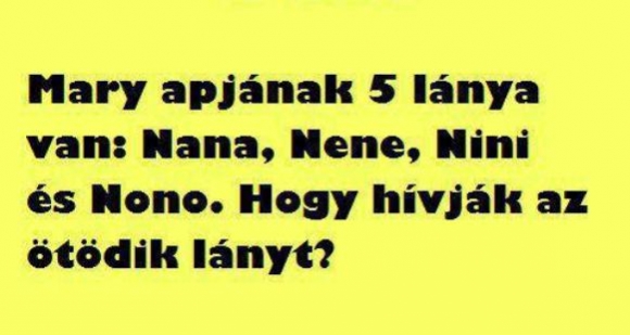 Napiszar IQ teszt