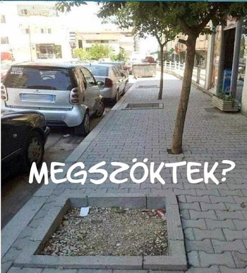 A Mc Mester KFT térkövezést is vállal