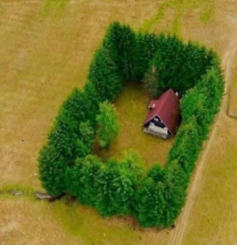 Ha már tele tököd mindenkivel