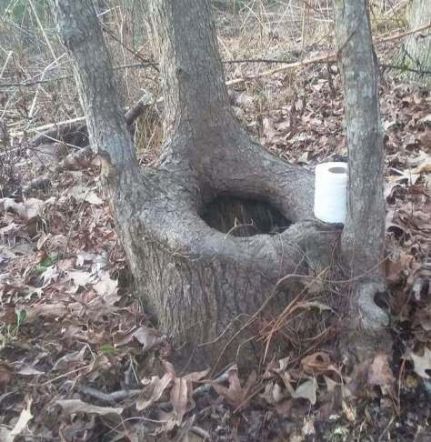 Erdei WC