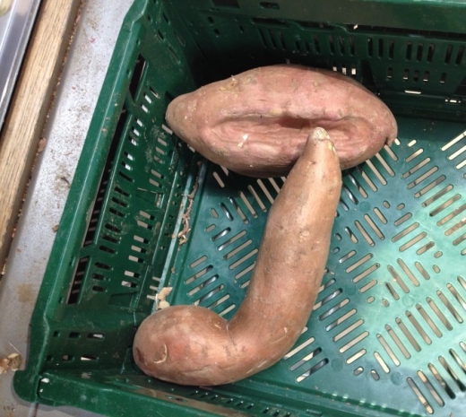 Eközben a Tescóban