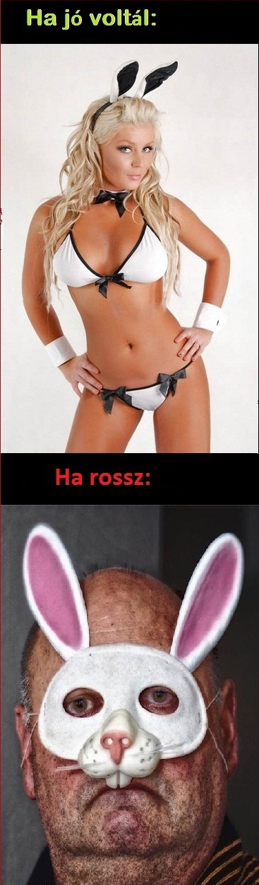 Lassan érkezik a húsvéti nyúl