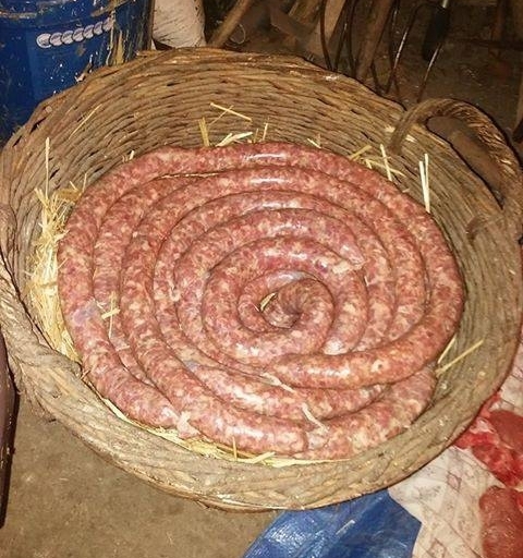 Székely királykobra 