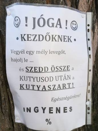 Eközben a parkban