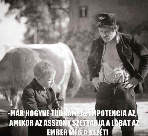 Bengedúz, tudod-e mi az impotencia?