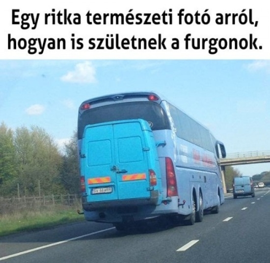 Egy furgon születése