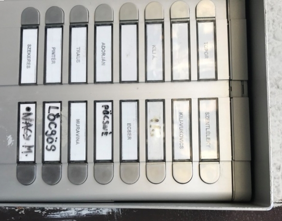 Eközben Csudapesten