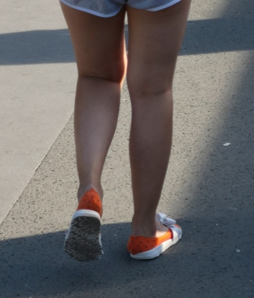 Divatdiktátor