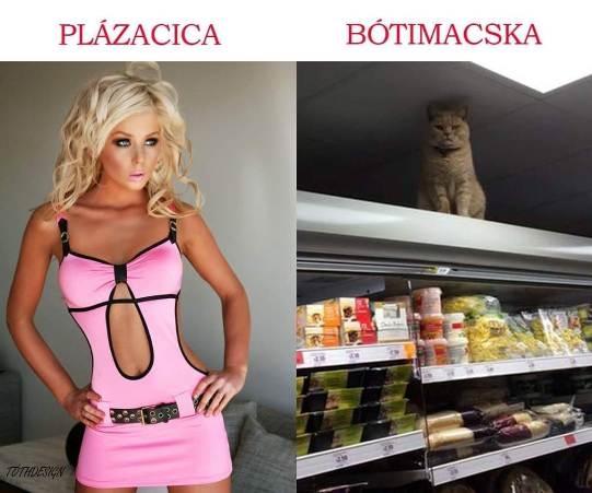 Szombat reggeli zsibbasztó