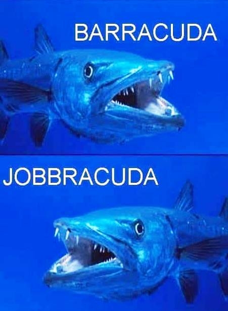 Hétvégi zsibbasztó